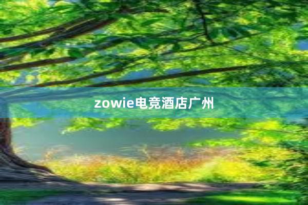 zowie电竞酒店广州