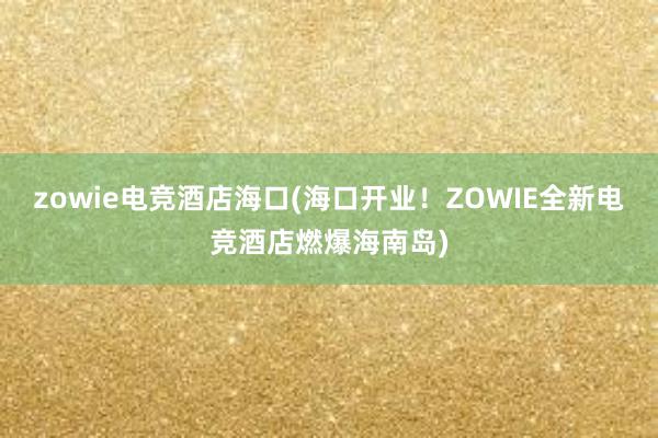 zowie电竞酒店海口(海口开业！ZOWIE全新电竞酒店燃爆海南岛)