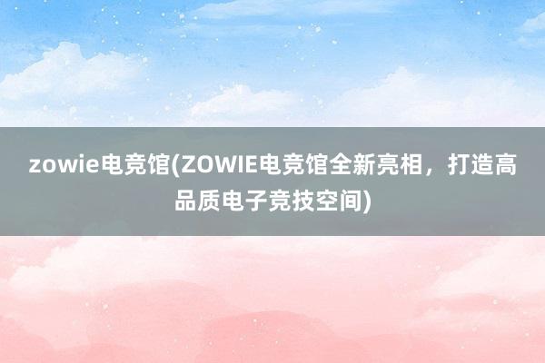 zowie电竞馆(ZOWIE电竞馆全新亮相，打造高品质电子竞技空间)