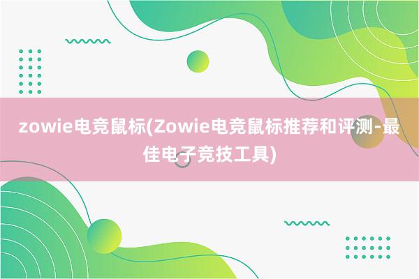 zowie电竞鼠标(Zowie电竞鼠标推荐和评测-最佳电子竞技工具)