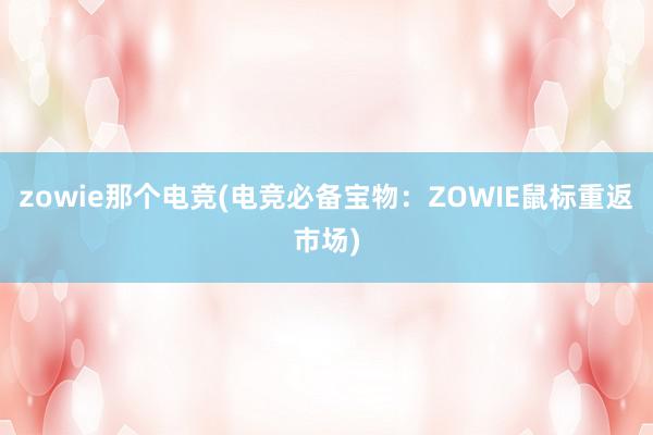 zowie那个电竞(电竞必备宝物：ZOWIE鼠标重返市场)