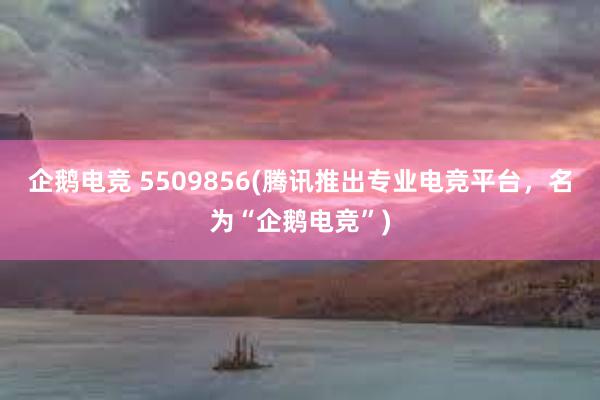 企鹅电竞 5509856(腾讯推出专业电竞平台，名为“企鹅电竞”)