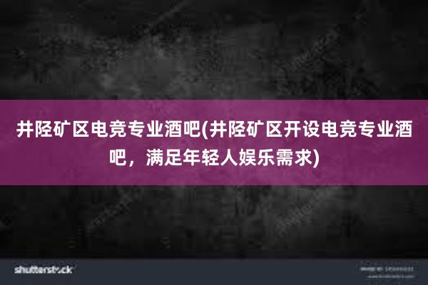 井陉矿区电竞专业酒吧(井陉矿区开设电竞专业酒吧，满足年轻人娱乐需求)