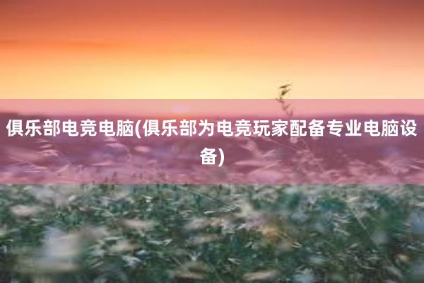 俱乐部电竞电脑(俱乐部为电竞玩家配备专业电脑设备)