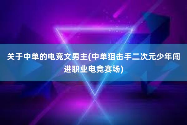 关于中单的电竞文男主(中单狙击手二次元少年闯进职业电竞赛场)