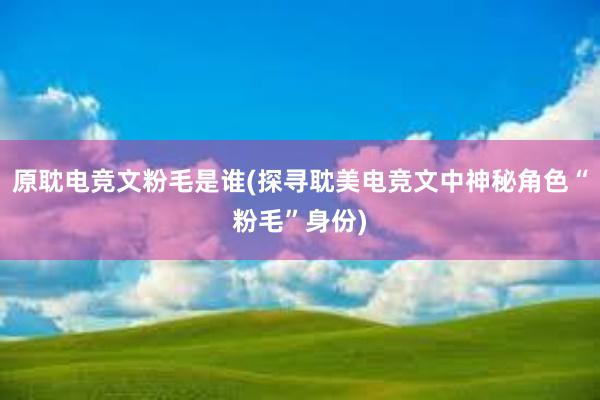 原耽电竞文粉毛是谁(探寻耽美电竞文中神秘角色“粉毛”身份)