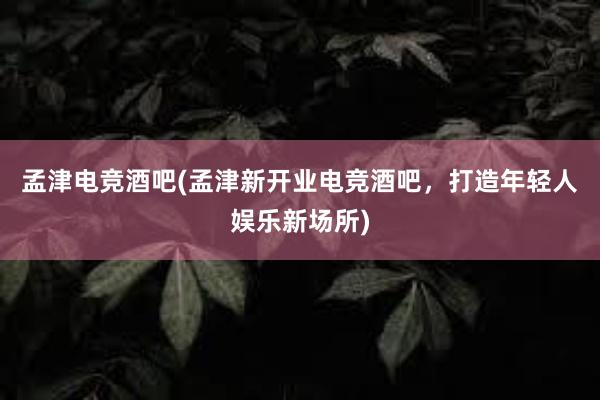 孟津电竞酒吧(孟津新开业电竞酒吧，打造年轻人娱乐新场所)