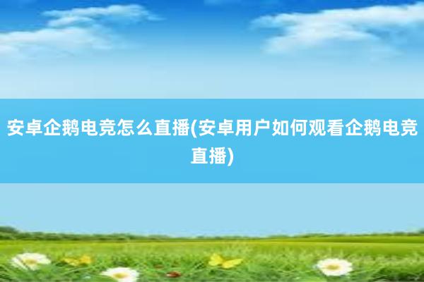 安卓企鹅电竞怎么直播(安卓用户如何观看企鹅电竞直播)