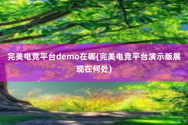 完美电竞平台demo在哪(完美电竞平台演示版展现在何处)