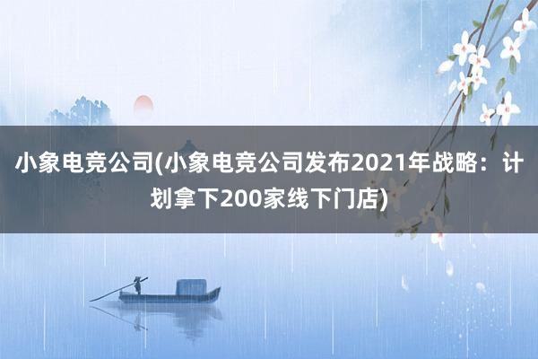 小象电竞公司(小象电竞公司发布2021年战略：计划拿下200家线下门店)