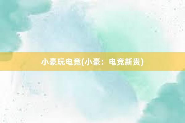 小豪玩电竞(小豪：电竞新贵)