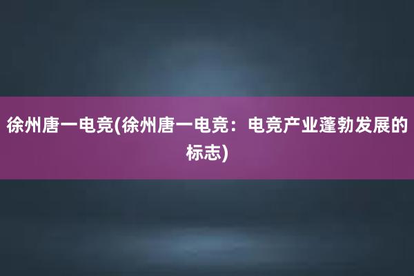 徐州唐一电竞(徐州唐一电竞：电竞产业蓬勃发展的标志)