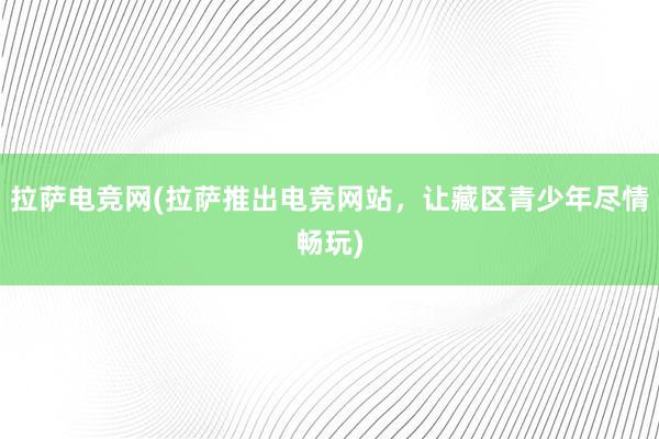 拉萨电竞网(拉萨推出电竞网站，让藏区青少年尽情畅玩)