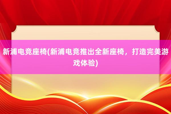 新浦电竞座椅(新浦电竞推出全新座椅，打造完美游戏体验)