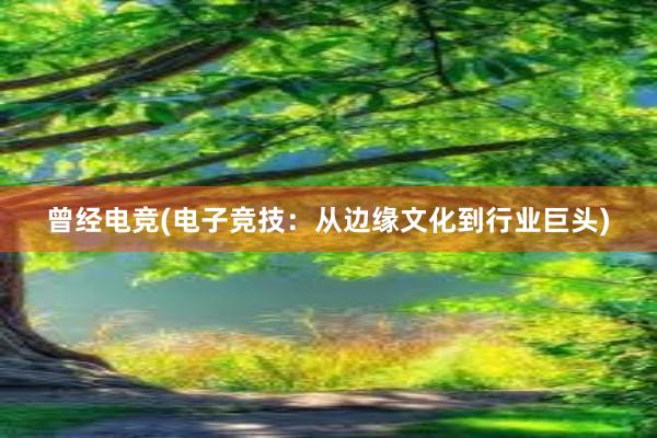 曾经电竞(电子竞技：从边缘文化到行业巨头)