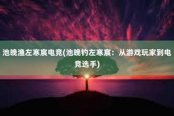 池晚渔左寒宸电竞(池晚钓左寒宸：从游戏玩家到电竞选手)