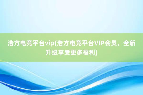 浩方电竞平台vip(浩方电竞平台VIP会员，全新升级享受更多福利)