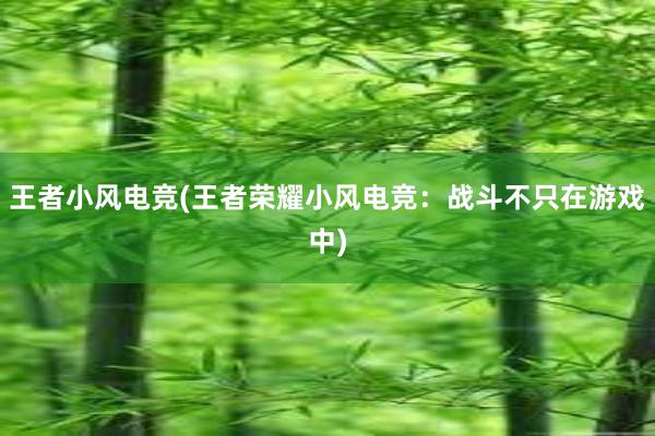 王者小风电竞(王者荣耀小风电竞：战斗不只在游戏中)