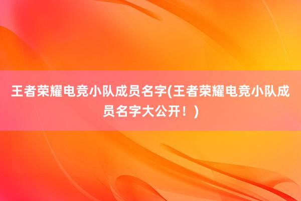 王者荣耀电竞小队成员名字(王者荣耀电竞小队成员名字大公开！)