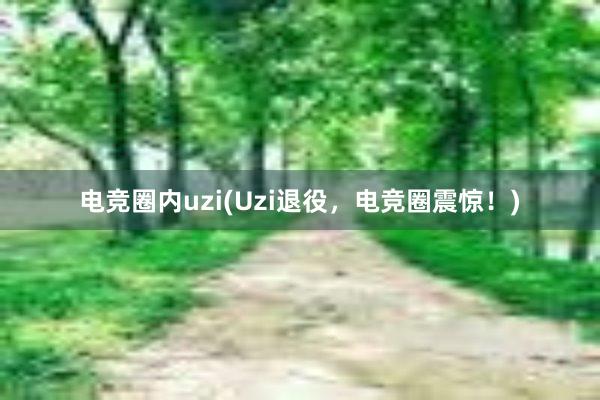 电竞圈内uzi(Uzi退役，电竞圈震惊！)