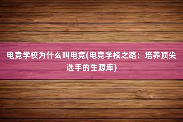 电竞学校为什么叫电竞(电竞学校之路：培养顶尖选手的生源库)