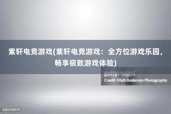 紫轩电竞游戏(紫轩电竞游戏：全方位游戏乐园，畅享极致游戏体验)