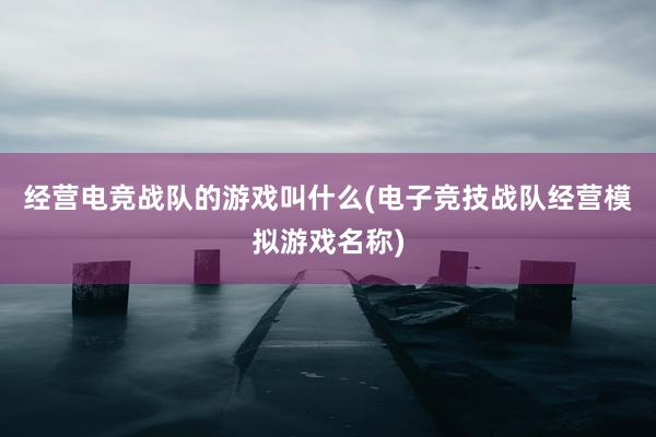 经营电竞战队的游戏叫什么(电子竞技战队经营模拟游戏名称)