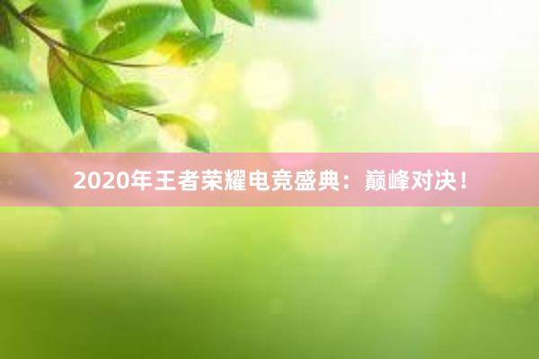 2020年王者荣耀电竞盛典：巅峰对决！