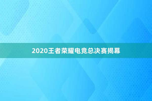 2020王者荣耀电竞总决赛揭幕