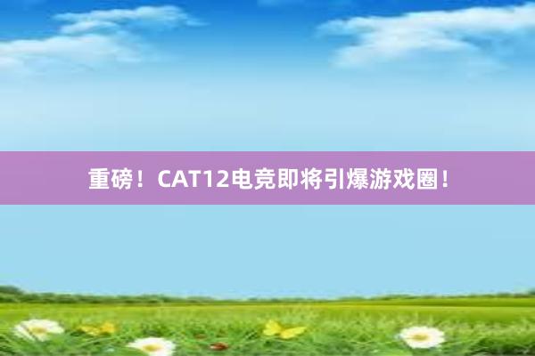 重磅！CAT12电竞即将引爆游戏圈！