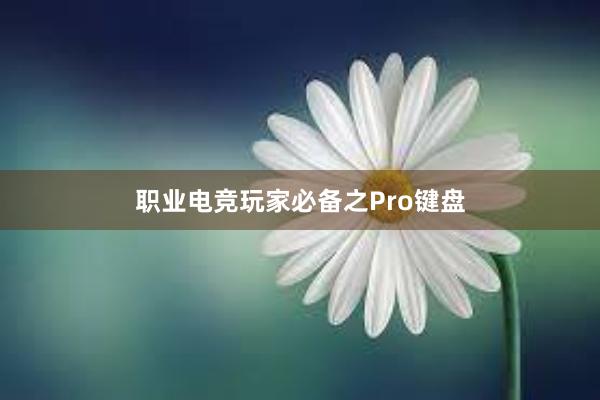 职业电竞玩家必备之Pro键盘