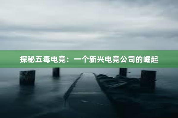 探秘五毒电竞：一个新兴电竞公司的崛起