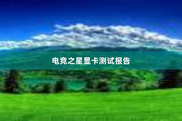 电竞之星显卡测试报告