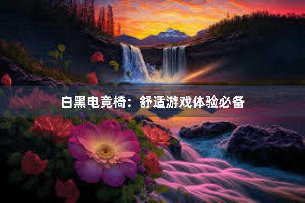 白黑电竞椅：舒适游戏体验必备