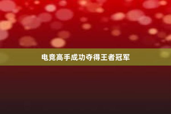 电竞高手成功夺得王者冠军