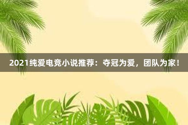 2021纯爱电竞小说推荐：夺冠为爱，团队为家！