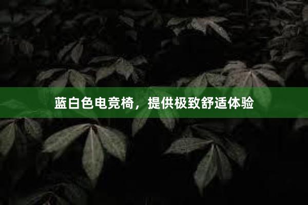 蓝白色电竞椅，提供极致舒适体验