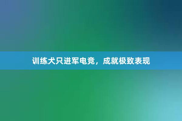 训练犬只进军电竞，成就极致表现